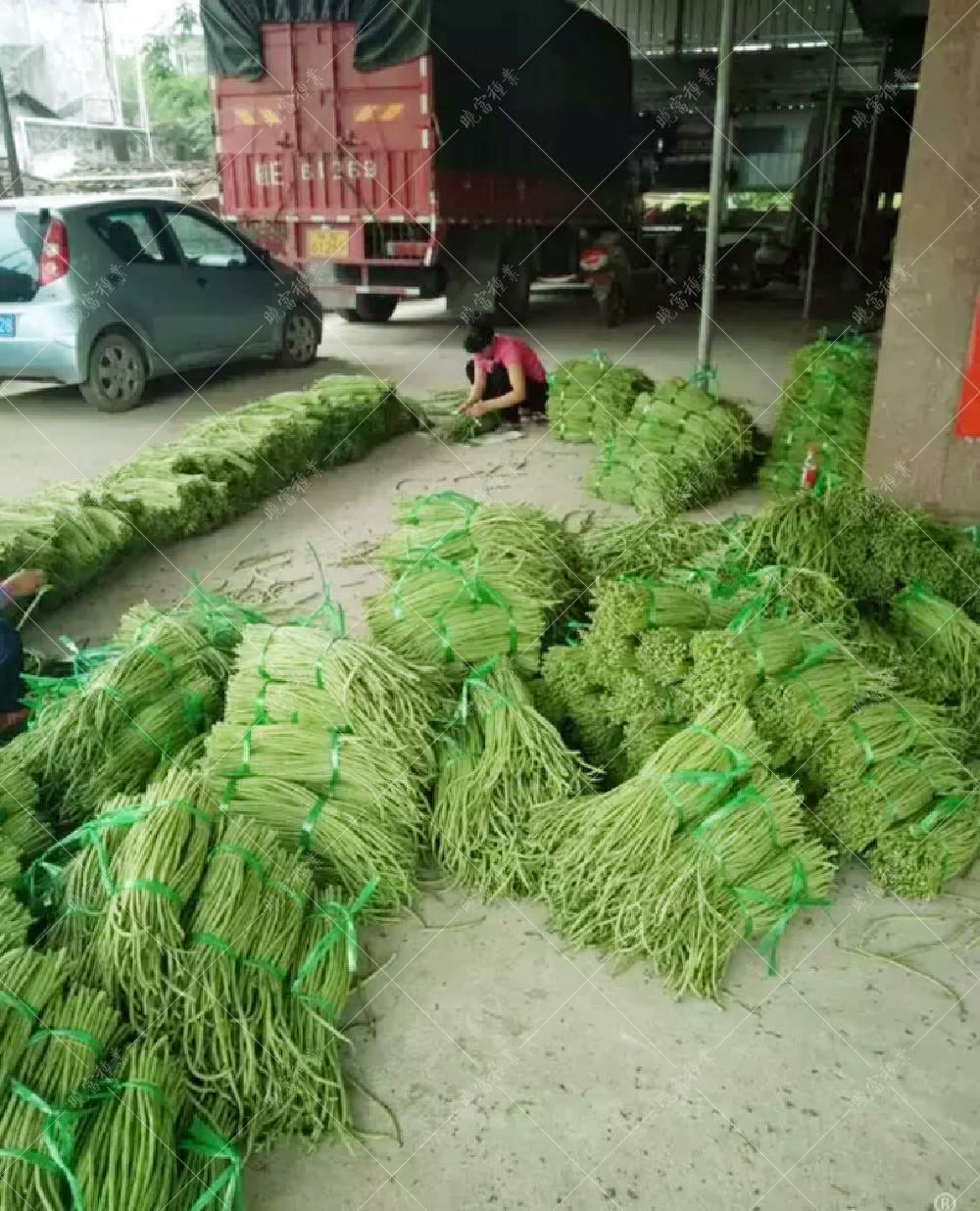 1557978091128831.jpg 17.jpg