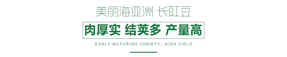 1557986264441765.jpg 詳情頁.jpg