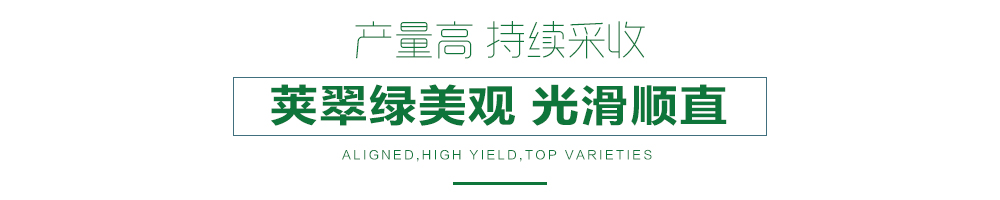 1557986389500294.jpg 詳情頁24.jpg