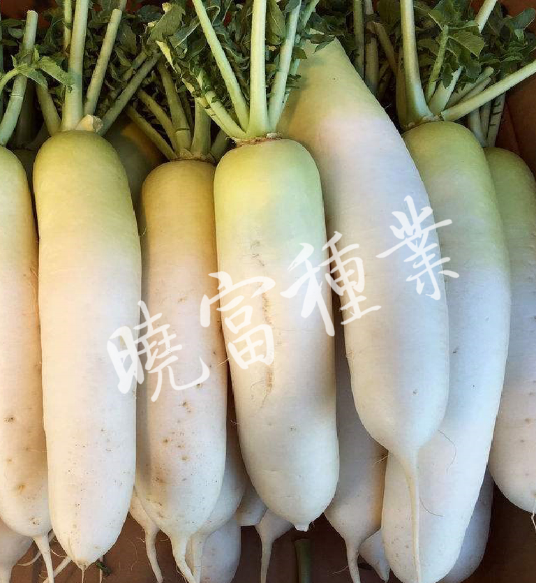 1585790197208127.jpg 08.jpg