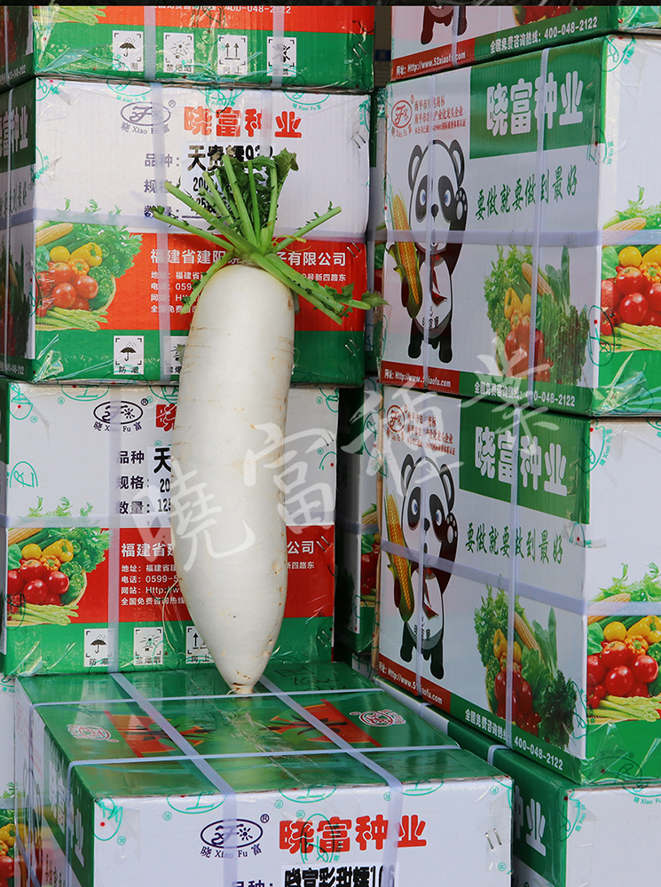 1585790460999468.jpg 04.jpg