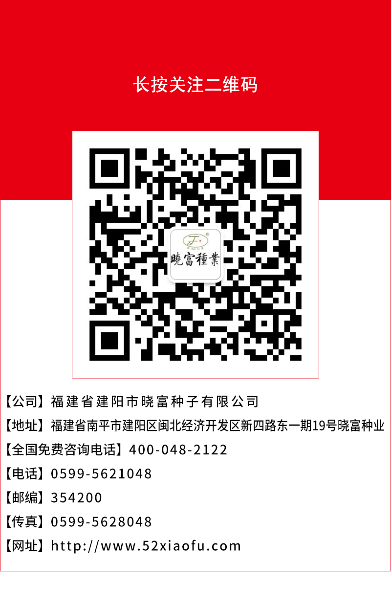 1602035938734977.jpg 頁(yè)底.jpg