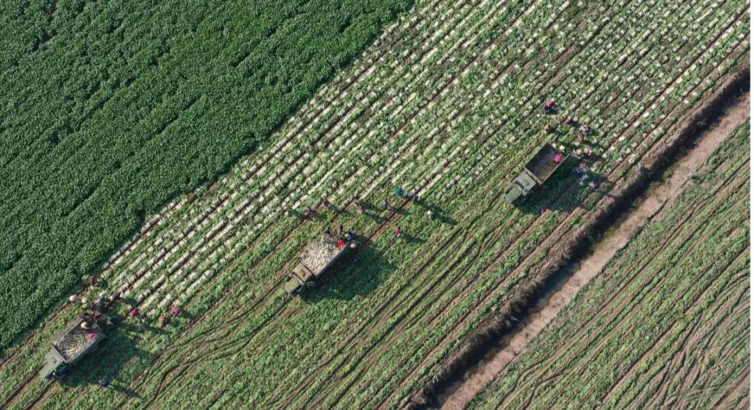 1608458752731459.jpg 微信圖片_20201220180307.jpg